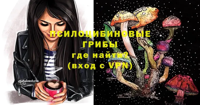 купить наркотики цена  Нестеровская  Псилоцибиновые грибы Psilocybe 